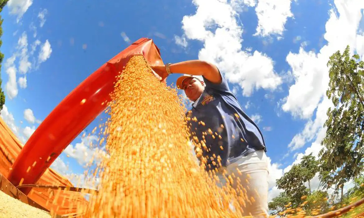 Agropecuária ajudou oito estados a crescerem mais que o Brasil em 2023