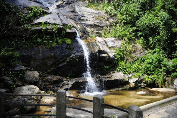 Parque Nacional da Tijuca promove feira de ciências com foco em peixes