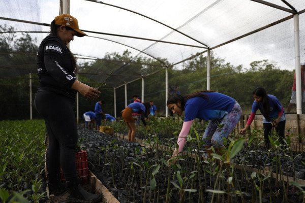 Governo fecha parceria para expandir energia renovável na Amazônia