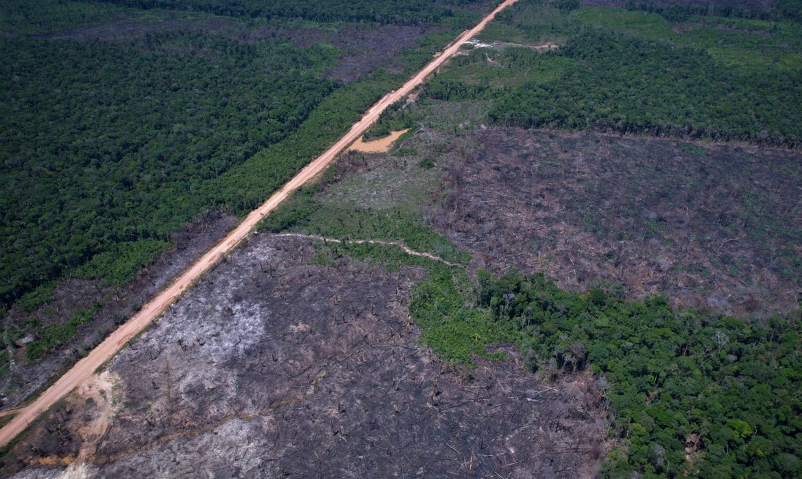 Vias ilegais perto da BR-319 avançam em áreas protegidas na Amazônia