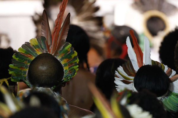 Demarcar terras dá segurança a quem protege o meio ambiente, diz MJ