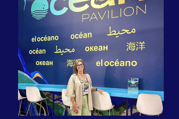 COP30: oceanos podem cortar 35% das emissões de CO até 2050