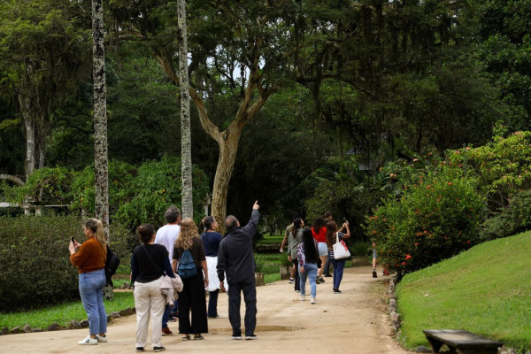 Dia da Consciência Negra: Jardim Botânico do Rio tem programa especial