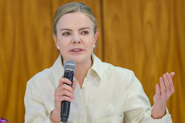 Perde o Brasil, diz Gleisi sobre derrubada de vetos do licenciamento