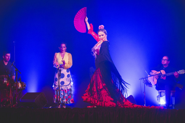 Elenco de Nochebuena Flamenca reúne artistas profissionais e estreantes em uma celebração flamenca do espírito natalino