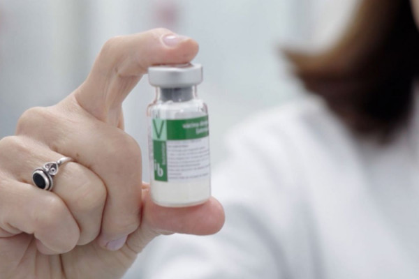 Anvisa publica registro da vacina contra a dengue do Butantan