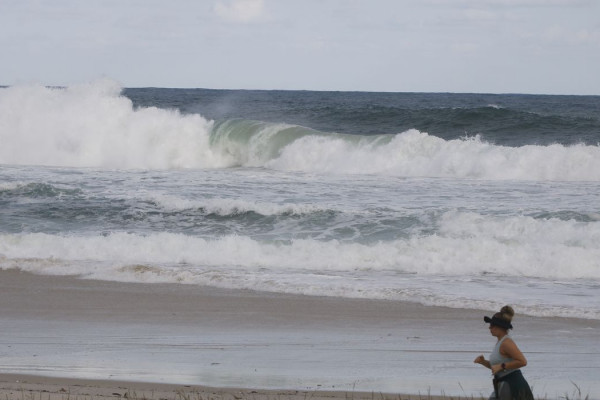 Consciência ambiental cresce em áreas com projetos de longa duração