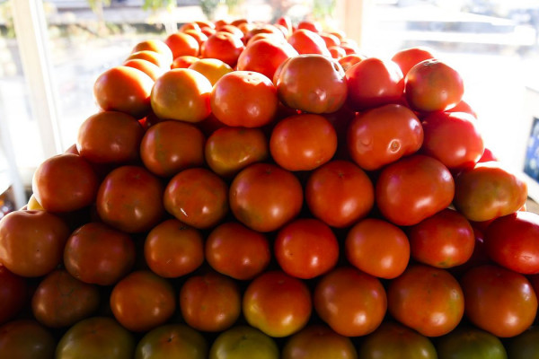 Inflação da comida em casa cai 0,2% em novembro, sexto recuo seguido