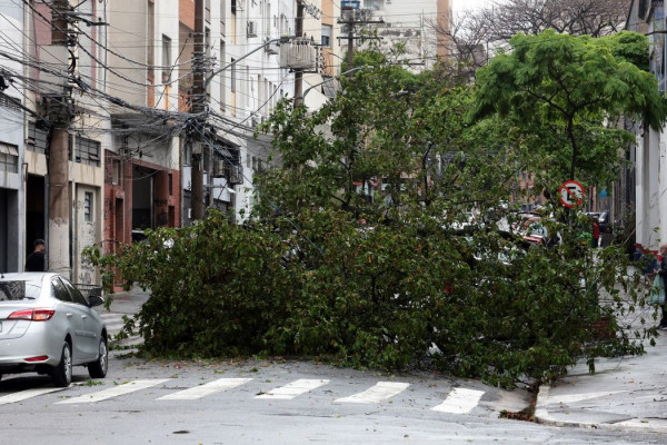 Prefeitura fecha todos os parques de São Paulo por causa dos ventos