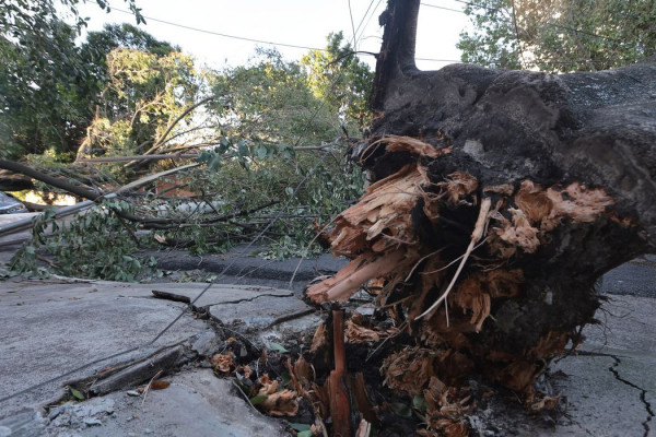 MIDR reconhece situação de emergência em 21 municípios 