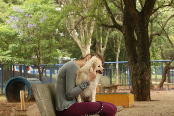 Cade aprova fusão entre Petz e Cobasi com restrições