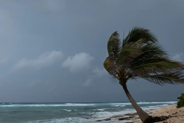 São Paulo e capitais do Sul terão ventos moderados nesta quinta-feira