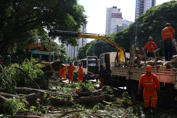 Dois dias após ciclone, SP ainda tem 800 mil moradores sem energia