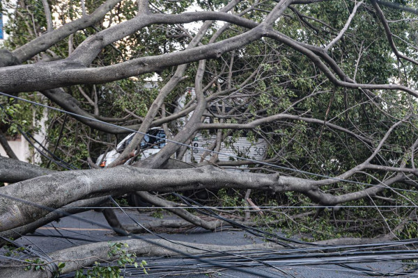 Volta a chover em São Paulo e número de pessoas sem luz aumenta