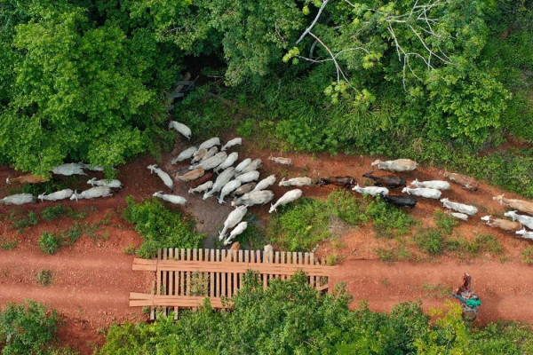 Funai solicita apoio da PF para investigar emboscada no Pará