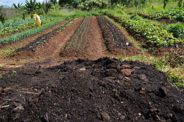 CMN amplia socorro a produtores afetados pelo clima