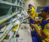 TST determina manutenção de 80% do efetivo durante greve dos Correios 