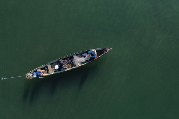 Pescadores profissionais têm até dia 31 para comprovar atividade