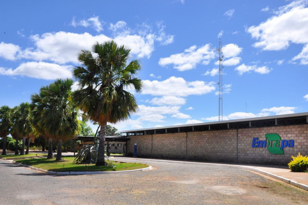 Aplicativo gratuito da Embrapa ajuda a planejar barragens no semiárido