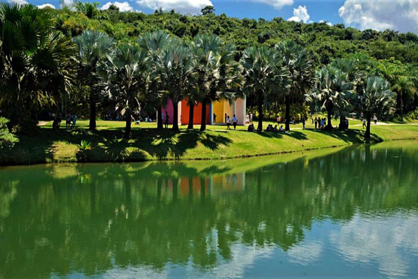 Museu Inhotim, em Minas Gerais, tem recorde de visitação em 2025