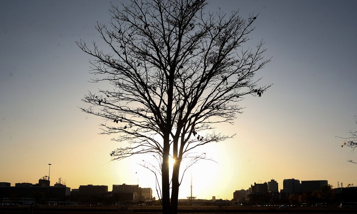 Duas pesquisadoras da Uerj participam do seleto grupo do IPCC da ONU