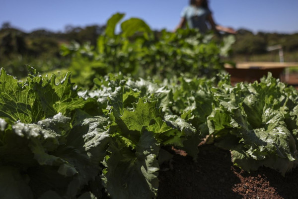 Acordo garante terras a 3 mil famílias em assentamentos no Paraná