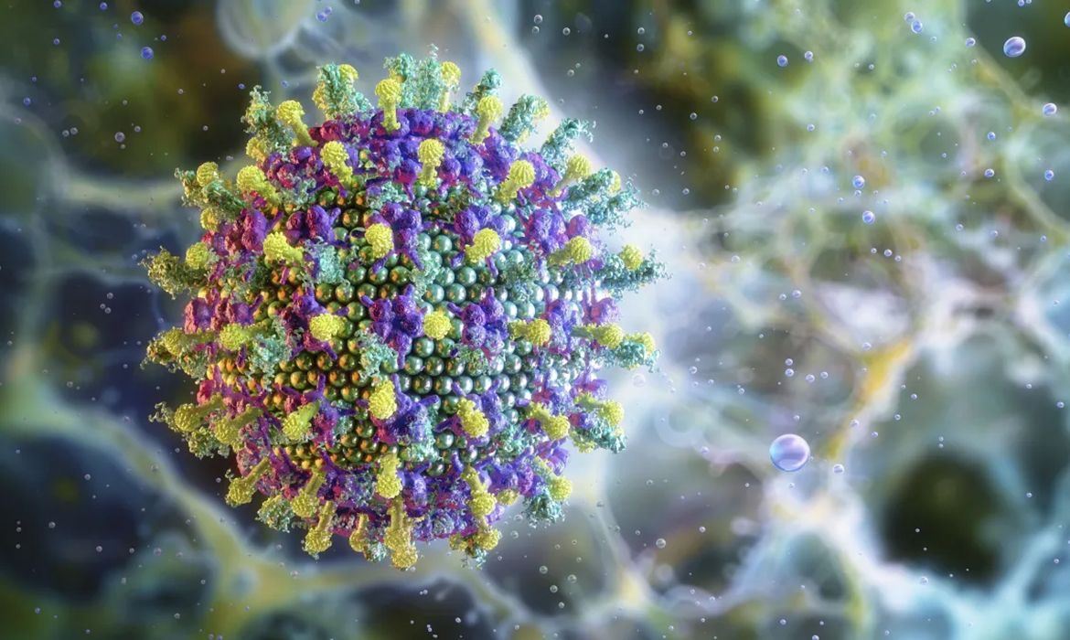 Nipah: saiba mais sobre o vírus que preocupa a Ásia