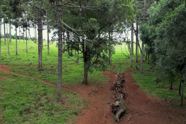 Produção inédita resgata histórico Caminho do Peabiru na TV Brasil