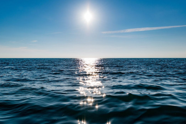 Tratado do Alto-Mar: entenda o que muda para o Brasil