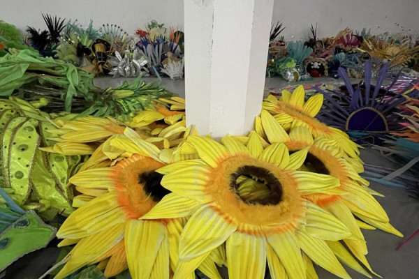 Projeto reaproveita fantasias da Sapucaí para novos foliões