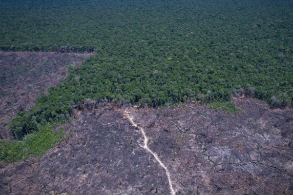 Amazônia Legal: desmatamento prevalece em torno de áreas protegidas