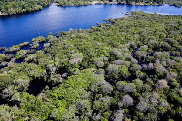 Governo lança edital para combate ao desmatamento na Amazônia