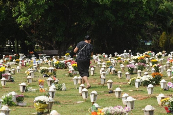 Cães e gatos podem ser sepultados em jazigos familiares em São Paulo