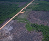 Alertas de desmatamento caem 35% na Amazônia e 6% no Cerrado