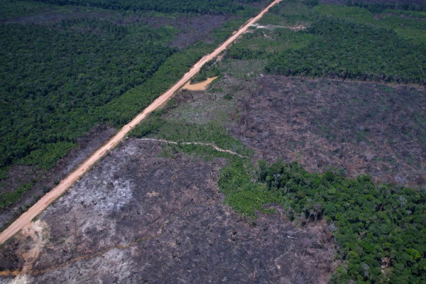 Alertas de desmatamento caem 35% na Amazônia e 6% no Cerrado