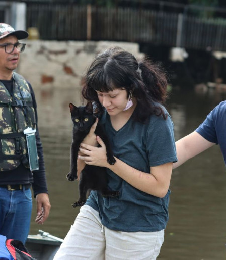 Senado aprova política de proteção a animais resgatados em desastres