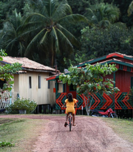 Amazônia Legal concentra quase metade dos conflitos de terra no Brasil