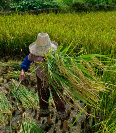 Promulgado protocolo da OIT contra trabalho forçado