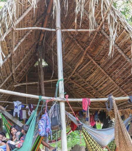 Povo Parakanã, do Pará, reocupa território após retirada de invasores 