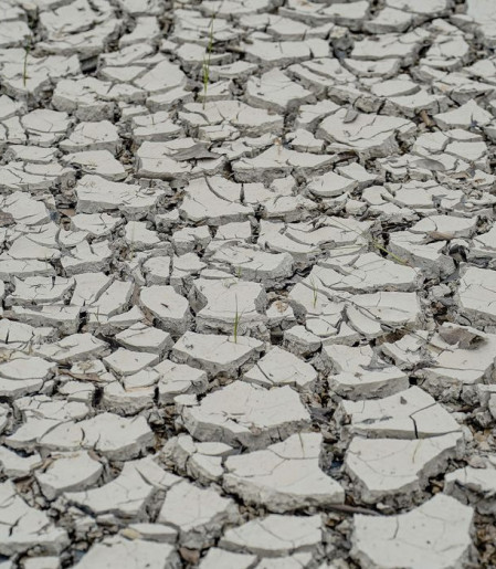 Estiagem: quinze cidades têm situação de emergência decretada