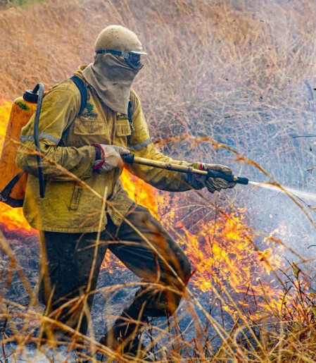 Governo divulga planejamento para enfrentar incêndios em 2026