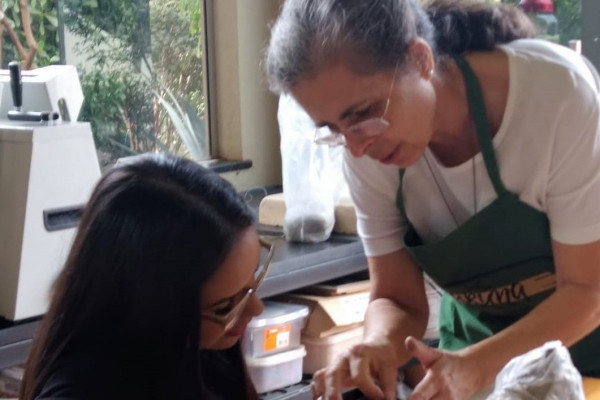 Maria L&uacute;cia de Souza Furlan