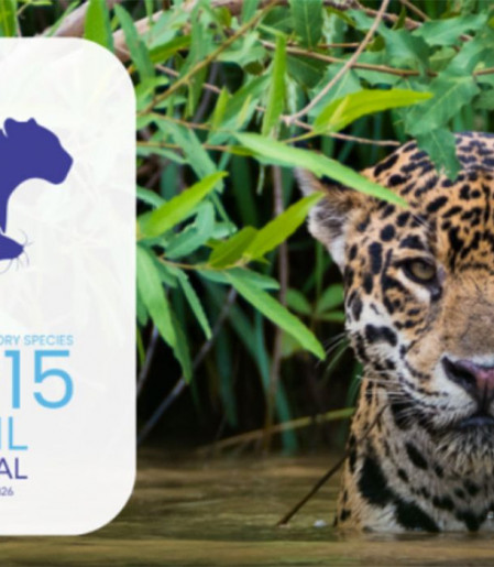 Queda na conservação de espécies migratórias pautará encontro da ONU