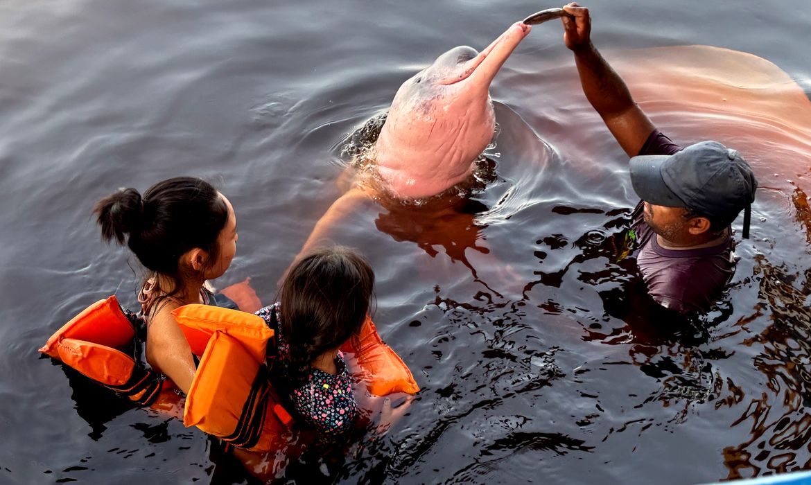 Insegurança é barreira para 62% das mulheres viajarem sozinhas