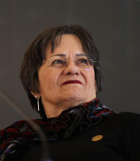 Ataques a Maria da Penha tentam enfraquecer conquistas, diz Instituto