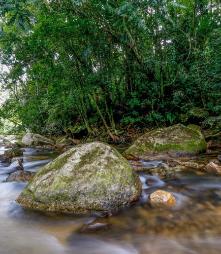 Plano busca fortalecer Sistema Nacional do Meio Ambiente até 2036
