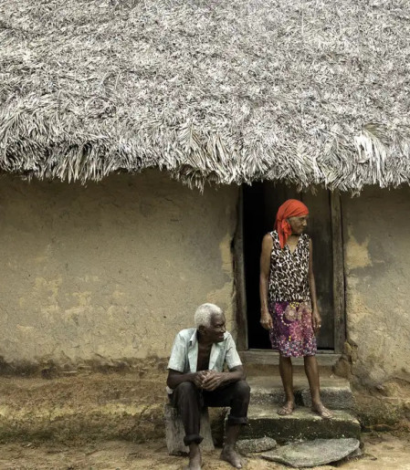 Quilombolas estão alinhados a agendas de justiça climática, diz estudo