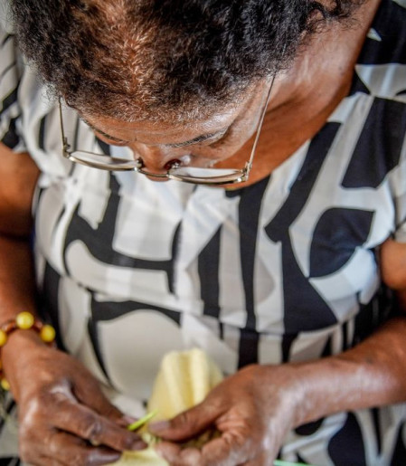 Três cidades recebem projeto-piloto de atendimento de idosos em casa