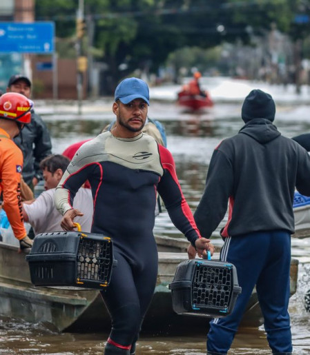 Lei cria Política de Acolhimento para animais resgatados em desastres