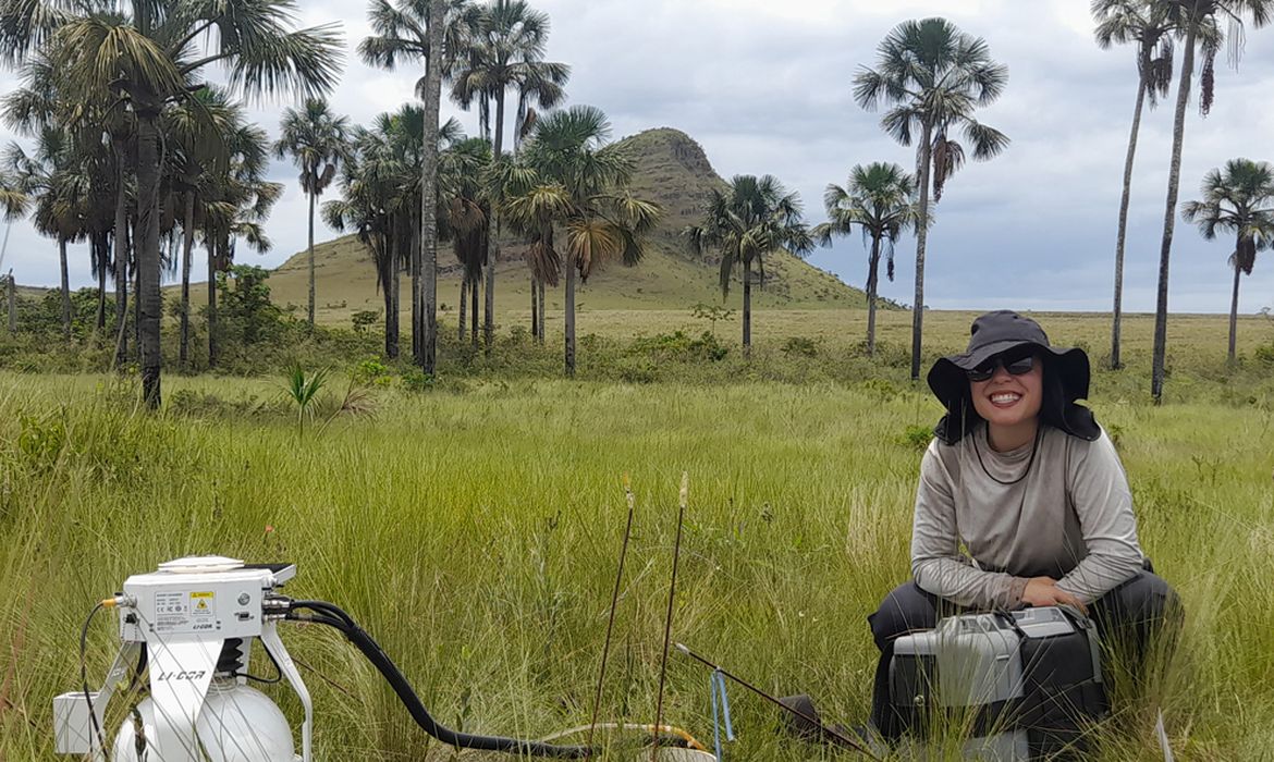 Estudo indica que Cerrado pode armazenar mais carbono que Amazônia